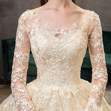 Spring White Ivory Champagne Wedding Dresses With Sleeve Illusion Long Appliques Lace Embroidery Ball Gowns vestido De Noiva
