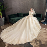 Spring White Ivory Champagne Wedding Dresses With Sleeve Illusion Long Appliques Lace Embroidery Ball Gowns vestido De Noiva